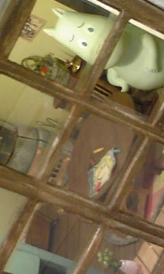 080731_1646~01.JPG