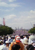 200908151015000.jpg