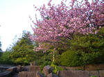 IMGP1358.JPG