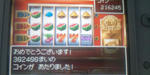 20100203063411.jpg