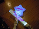 penlight.JPG