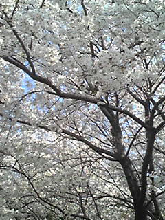 090406_1444~03.JPG