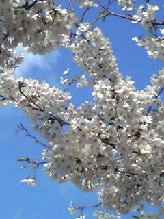 090406_1444~02.JPG