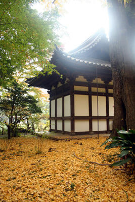 5d9a3b79.jpg