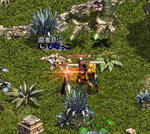 LinC0192.jpg