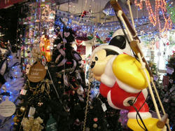 DSCN2096.JPG
