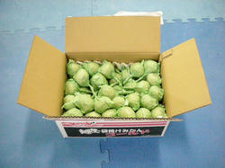 DSCN2695.JPG