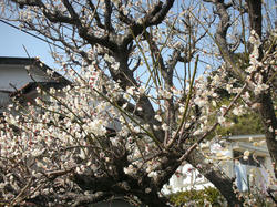 DSCN2724.JPG