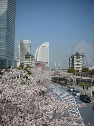 DSCN2869.JPG