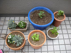 DSCN2929.JPG