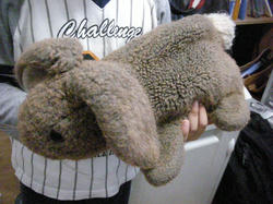 DSCN3097.JPG