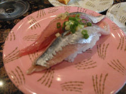 sanma.JPG
