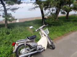 PA100233.JPG