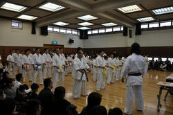 DSC_0655ed.JPG