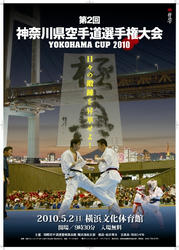 pos_ycup_2010.jpg