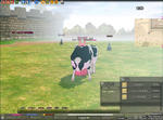mabinogi_2008_11_27_001.jpg