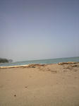 2010042814160000.jpg