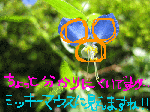 53445508.gif