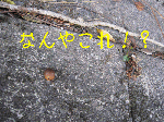 84936439.gif