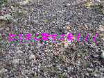 42f2e834.gif