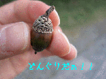 b834befe.gif