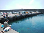 awabi4.JPG