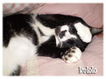 ku_009.jpg