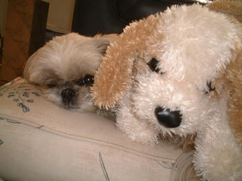 2003_0330_131710AA.JPG