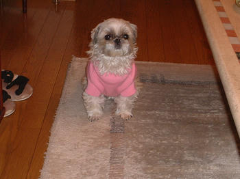 2004_0324_215517AA.JPG