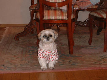 2004_1021_165025AA.JPG