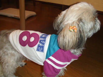 2008_0602kumie5a30010.JPG