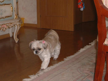 2002_0729_085153AB.JPG