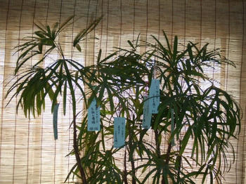 2008_0707kumie5a30045.JPG