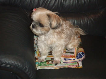 2008_0717kumie5a30048.JPG