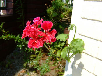 2008_0721kumie5a30002.JPG