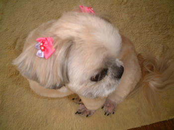 2005_0527_131756AA.JPG