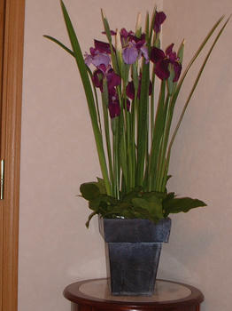 2003_0424_170241AB.JPG