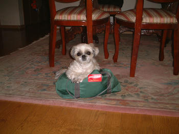 2003_1012_160051AB.JPG