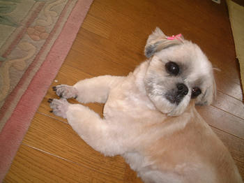 2005_0527_133126AA.JPG