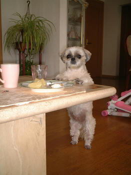 2005_0716_130000AA.JPG