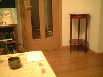 bd960743.jpeg