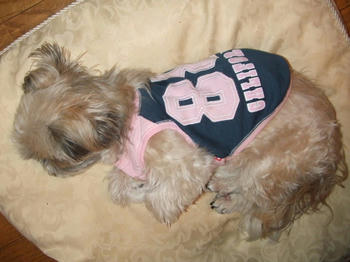 2008_0814kumie5a30011.JPG