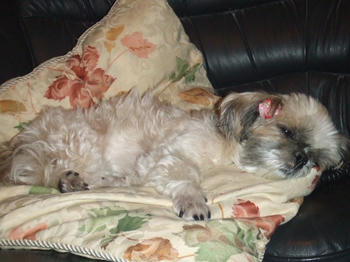 2008_0727kumie5a30046.JPG