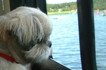 2004_0816_152228AA.JPGddddddd.jpg