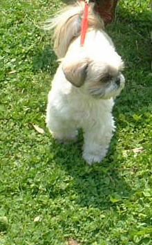 2004_0507_124702AA.JPGwwwwww.jpg