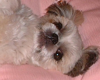 2001_0904_205612AA.JPGqqqqqqqq.jpg