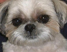 2004_0816_232242AA.JPGqqqqqqq.jpg
