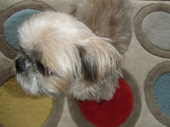 2008_0717kumie5a30049.JPG