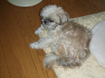2008_0907kumie5a30002.JPG