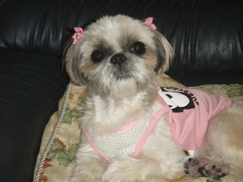 2008_0910kumie5a30035.JPG